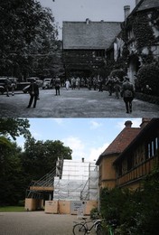 Image 253851299