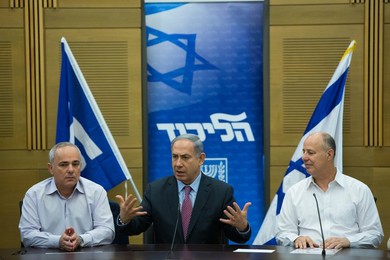Image 253994819