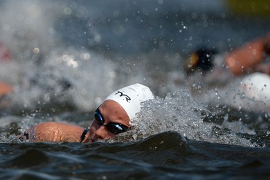 Image 254051797