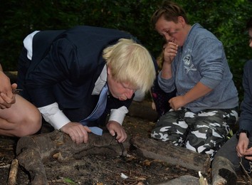 Image 254229046