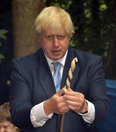 Image 254230470