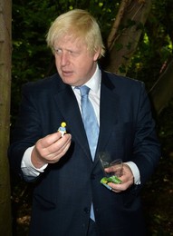 Image 254230898