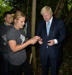 Image 254230900