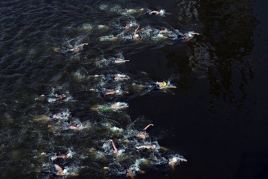 Image 254397467