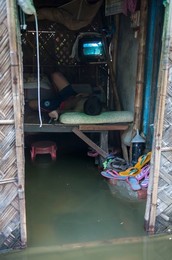 Image 254587484