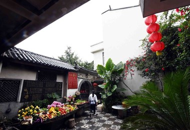 Image 254902069