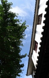 Image 254902454