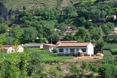 Image 254998552