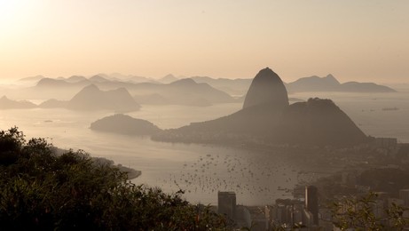 Image 255088717