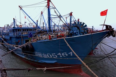 Image 255089639