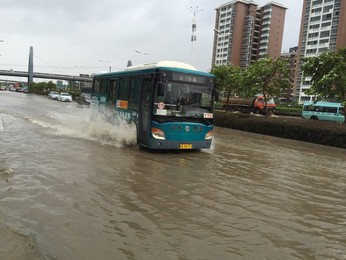 Image 255180127