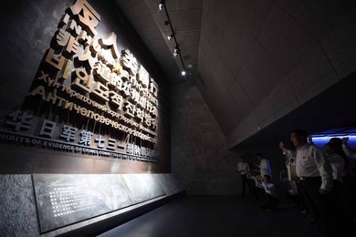 Image 255652267