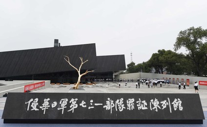 Image 255652275