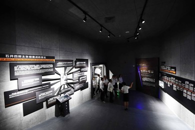 Image 255652299