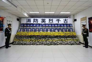 Image 255888449