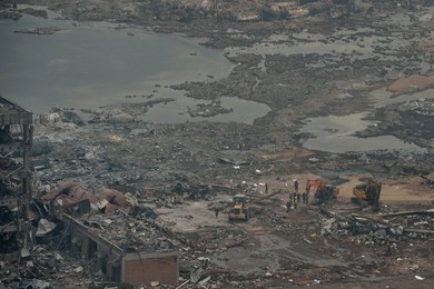 Image 256069942