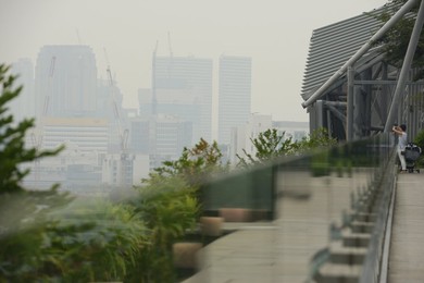 Image 258091744