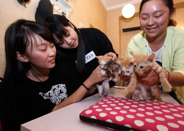 Image 260049710