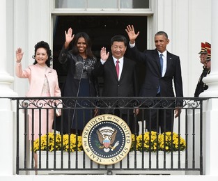 Image 260120636