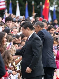 Image 260120670