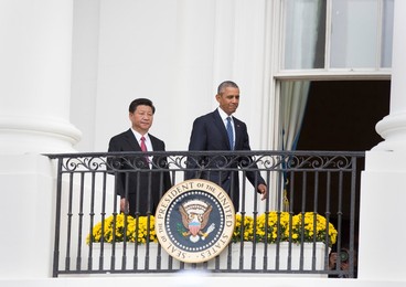 Image 260179454