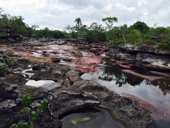 Image 260583086