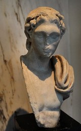 Image 260601527