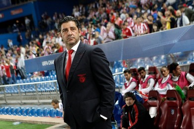 Image 260629604