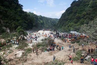 Image 260836628