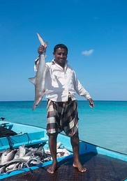 Image 261343804