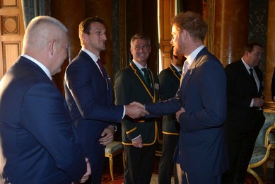 Image 262301896