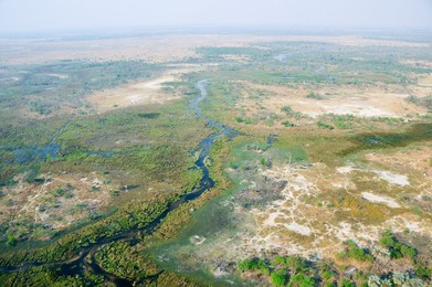 Image 262609593