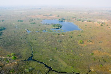 Image 262609595