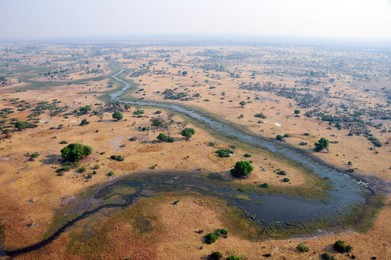 Image 262609596