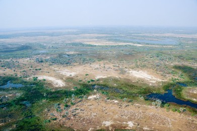 Image 262609597