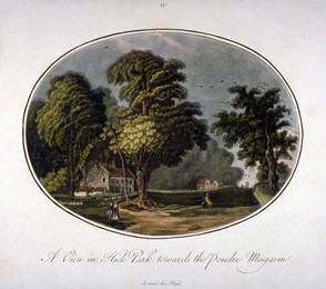 Image 263045996