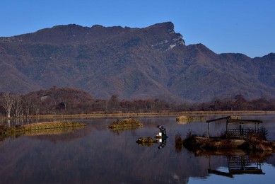 Image 263487559