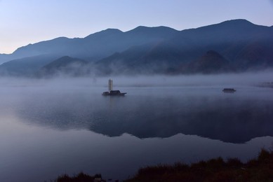 Image 263487571