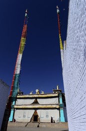 Image 263579169