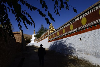 Image 263579265