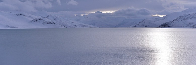 Image 264570007