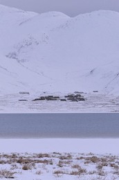 Image 264570017
