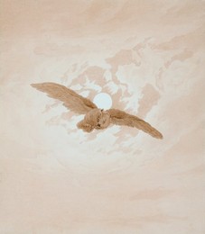 Image 264963111