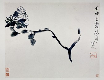 Image 265206697