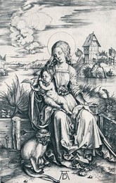 Image 265214651