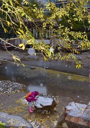 Image 265219259