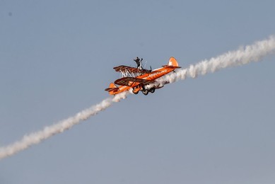Image 265579942