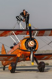 Image 265579944