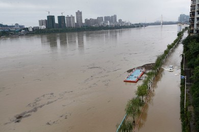 Image 266028963