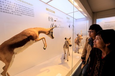 Image 266449032